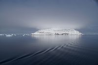 
DSC00206